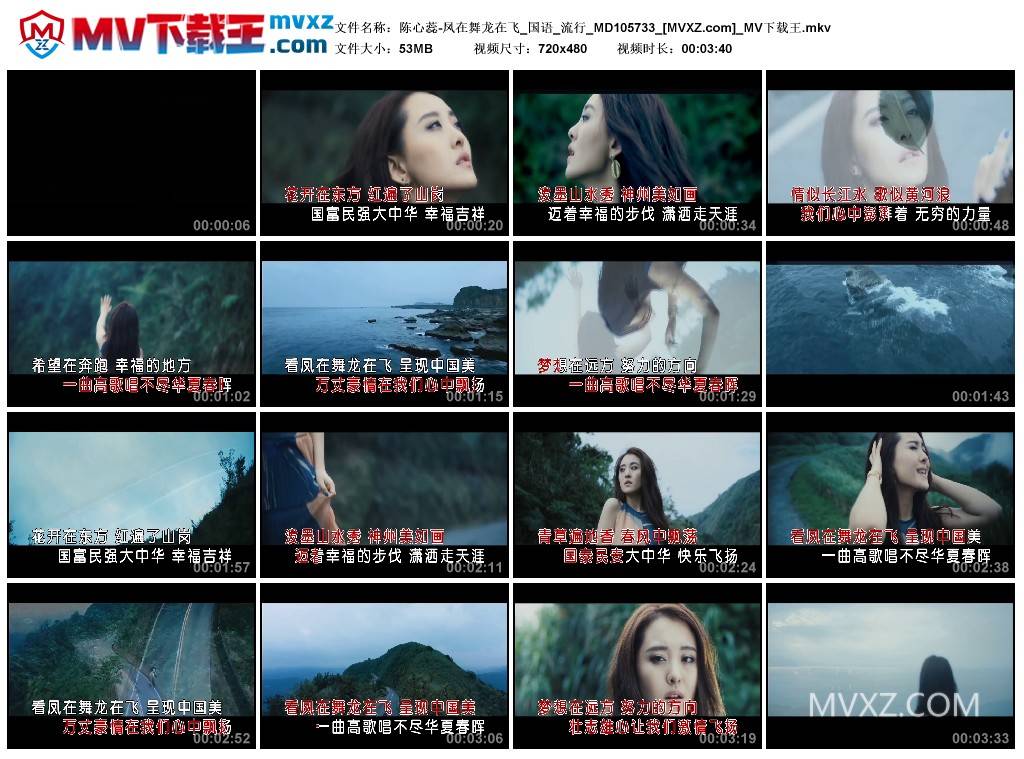 陈心蕊-凤在舞龙在飞_国语_流行_MD105733